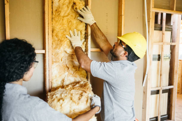 Best Eco-Friendly Insulation Solutions  in USA